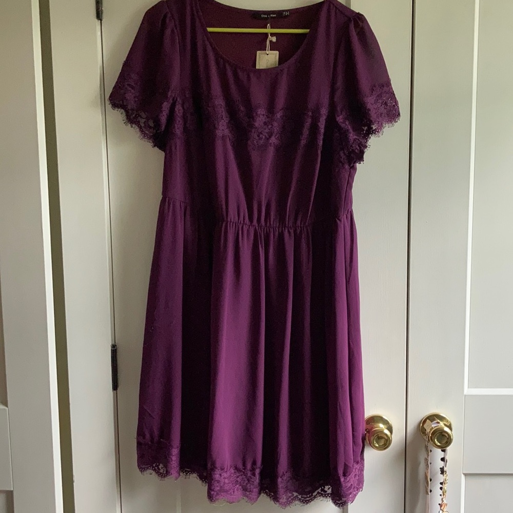 MODCLOTH Lacy Plum Dress. NEW with Tags
